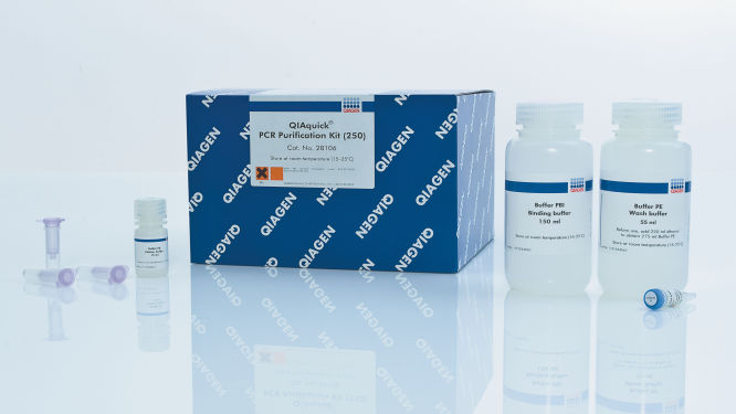 QIAquick PCR Purification Kit