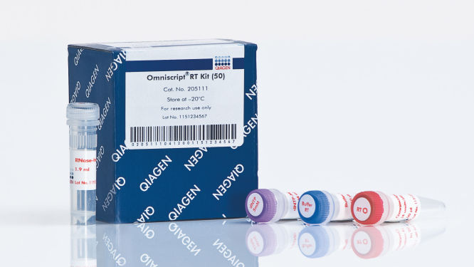 Omniscript RT Kit-205111