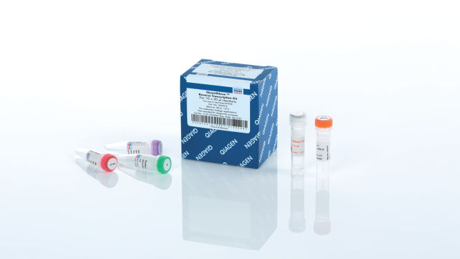 QIAGEN-205411
