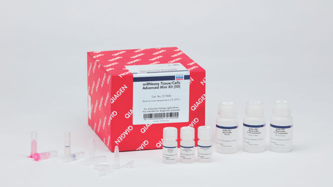 qiagen- 217604