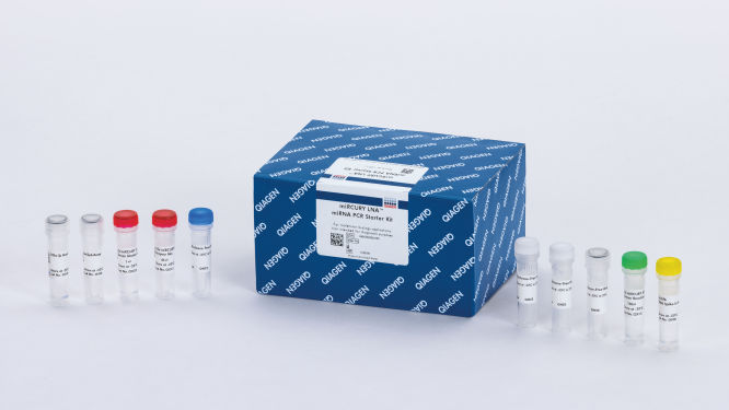 miRCURY LNA miRNA PCR Starter Kit